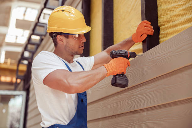 Best Siding Painting and Refinishing  in Azalea Park, FL