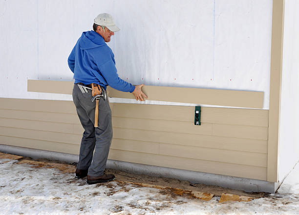 Best Stone Veneer Siding  in Azalea Park, FL